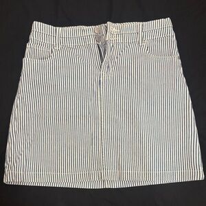 Striped Blue and White Women's Skirt